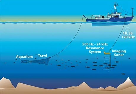 Ocean parts