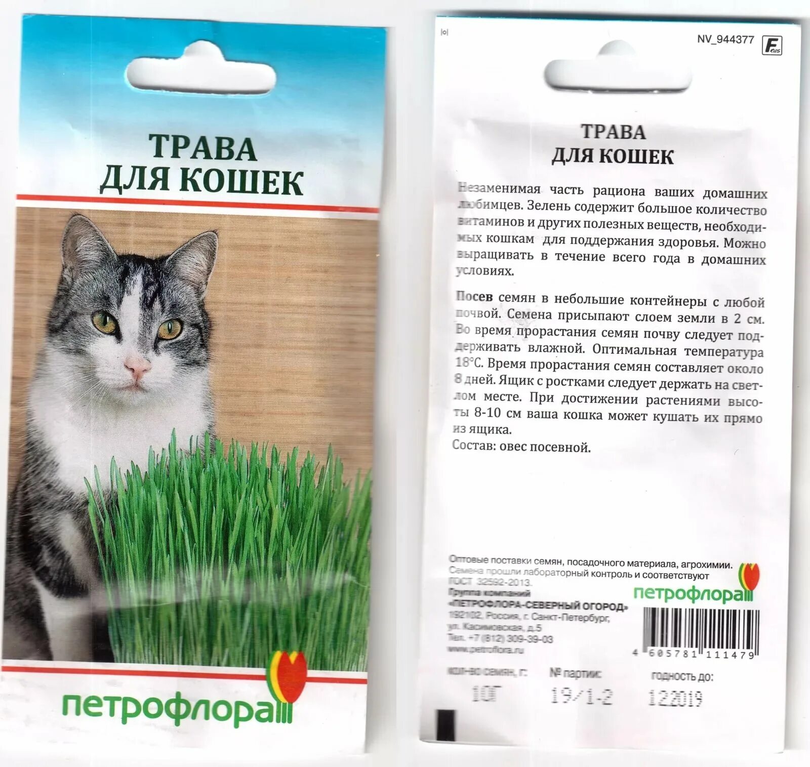 Какую кошку можно. Семена кошачьей травы. Трава для кошек название. Семена трава для кошек. Кошачья трава семенами.