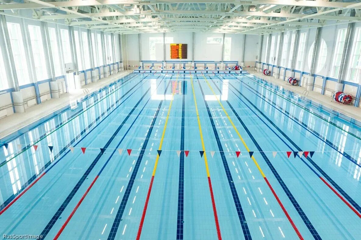 школа плавания григория фалько. антон чупков пловец. балаклавский проспект 33 бассейн. школа на плаву. бассейн мгсу на ярославском шоссе.