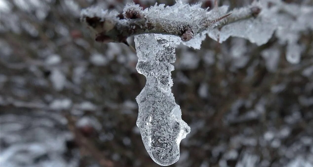 Потепление в январе. Потепление крестика. Погода на февраль. Потепление весной татар информ. Фон февраль погода Вертикаль.