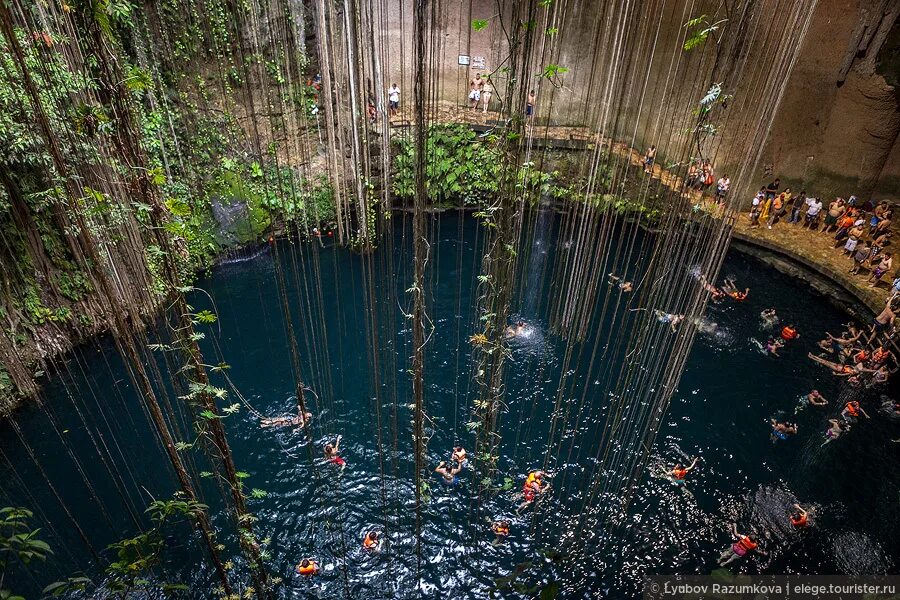 Священный сенот чичен-ица. Сеноты в мексике. Озеро сенот ик-киль, мексика. Сеноты в мексике канкун. Озеро сенот ик-киль, мексика.