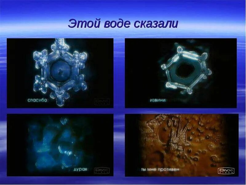 Вода сохраняет память. Вода жизненно необходима. Вода как носитель информации. Загадка про воду. В воде хранят.