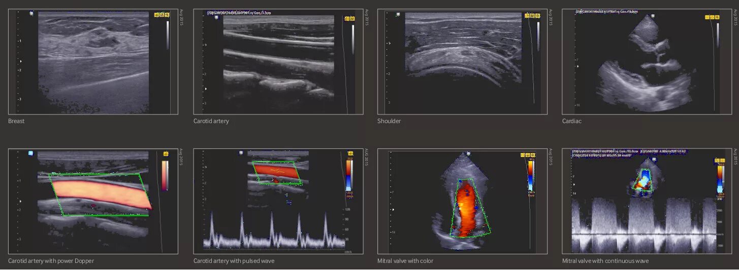Осмотр врачом медцентр. Могилев узи молочных могилев. Могилев узи молочных могилев. Осмотр врачом медцентр. Клиник случаев неврологии диагностика.