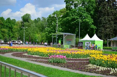 Сокольники парк в выходные