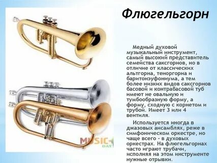 Название медно духовых инструментов