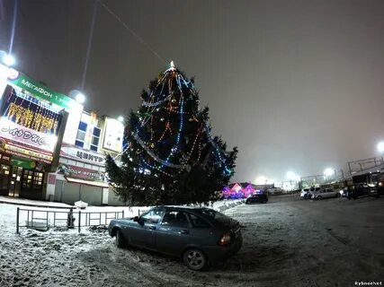 Камеры рыбное