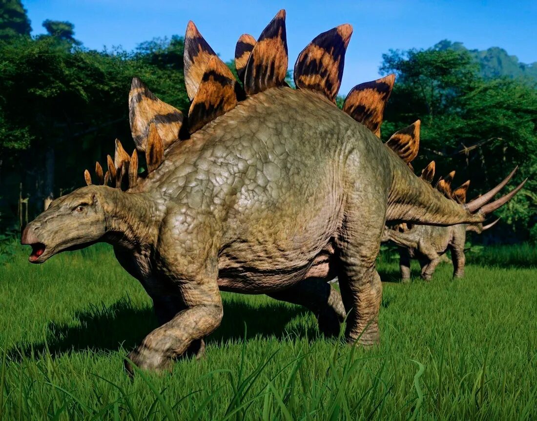 Стегозавр парк Юрского периода. Стегозавр Jurassic World Evolution. Стегозавр парк Юрского периода 2. Травоядные динозавры Стегозавр.