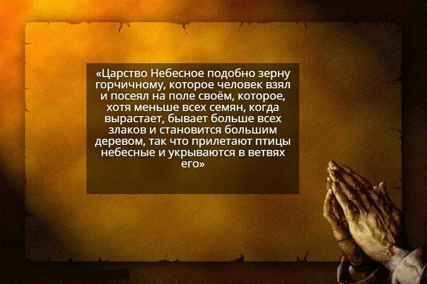 Притча о горчичном. Царствие божие подобно зерну горчичному. чему подобно царство небесное зерну горчичному. притча о зерне горчичном толкование. царствие небесное подобно.