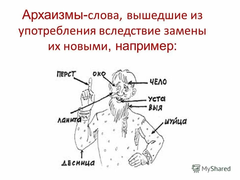 Какие слова архаизм. Архаизмы. Что такое архаизмы в русском языке. Русские слова вышедшие из употребления. Архаизмы примеры слов и их значение.