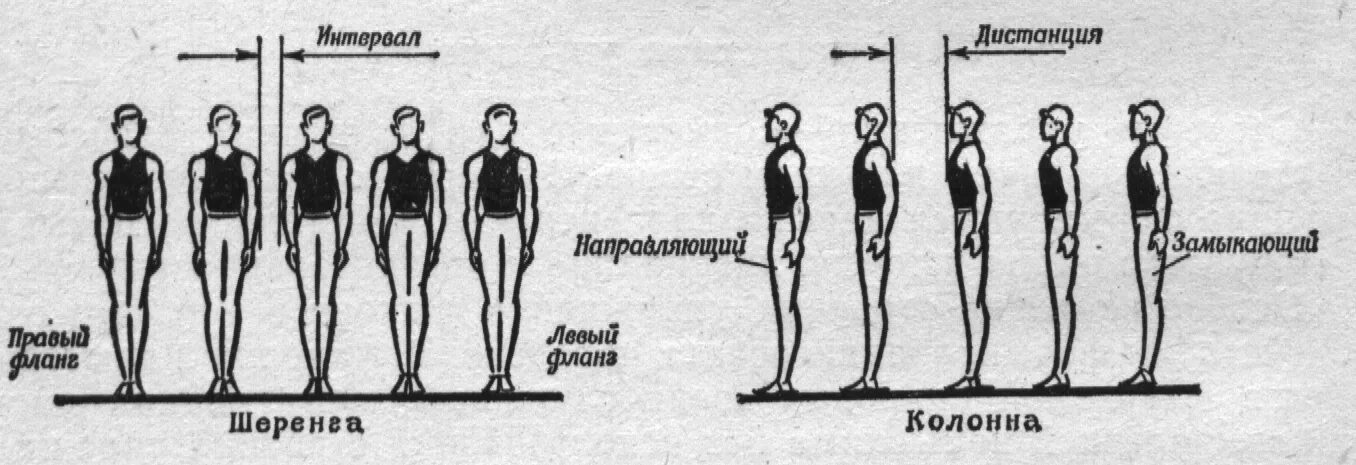 Интервал и дистанция в строю. Строй и строевые упражнения. Интервал и дистанция в физкультуре. Построение в колонну.