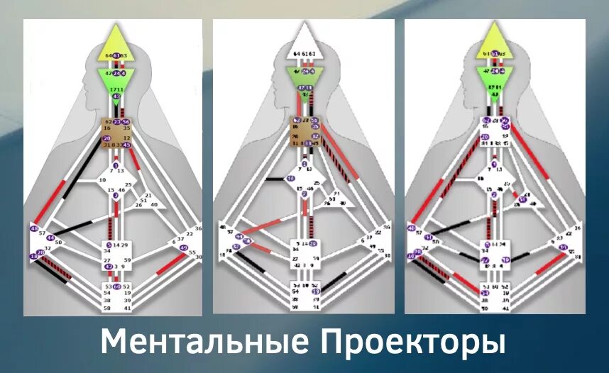 Генератор и проектор совместимость. Генератор проектор манифестор рефлектор. бодиграф ментального проектора. центры в дизайне человека. ментальный проектор.