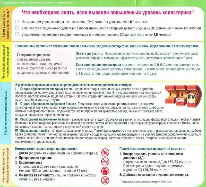 Что нужно есть чтобы снизить
