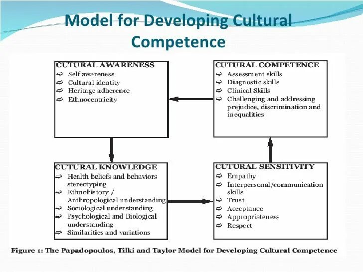 Foreign language competence. Cultural competence. linguistic competence and communicative competence. intercultural competence. what intercultural competence is.