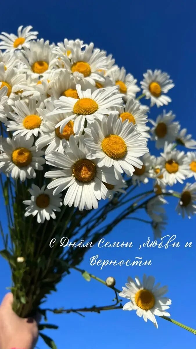 С днём семьи любви и верности. С днём семьи любви и верности. День семьи любви и верности 2024 фото. С днём семьи любви и верности. С днём семьи любви.
