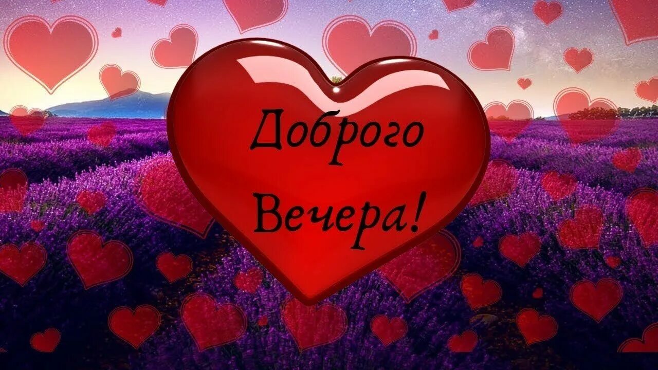 Добрый вечер сердце