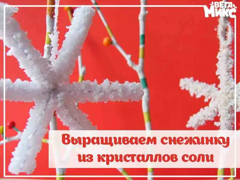 кристаллы соли. кристаллы снежинок. украшение веток пенопластом. снежинки из пряжи и клея. кристалл из соли.
