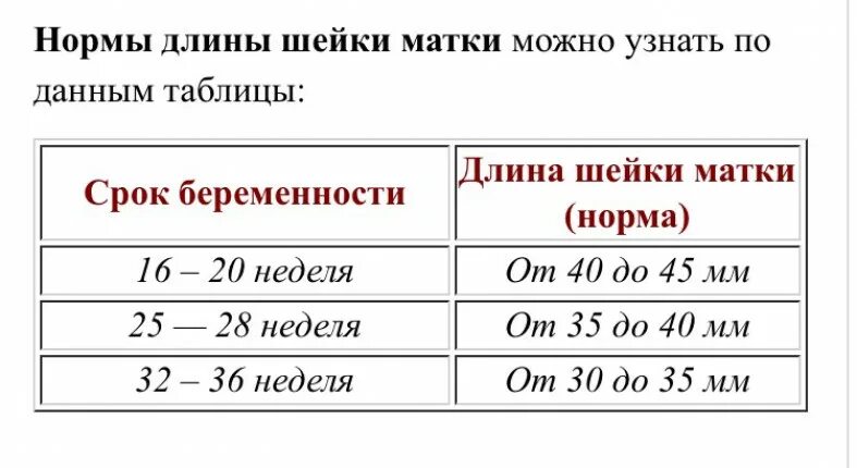 Размер шейки матки норма при беременности по неделям таблица. Шейка матки по неделям беременности таблица норма. Длина шейки матки при беременности по неделям таблица. Длина шейки матки при беременности по неделям таблица нормы.