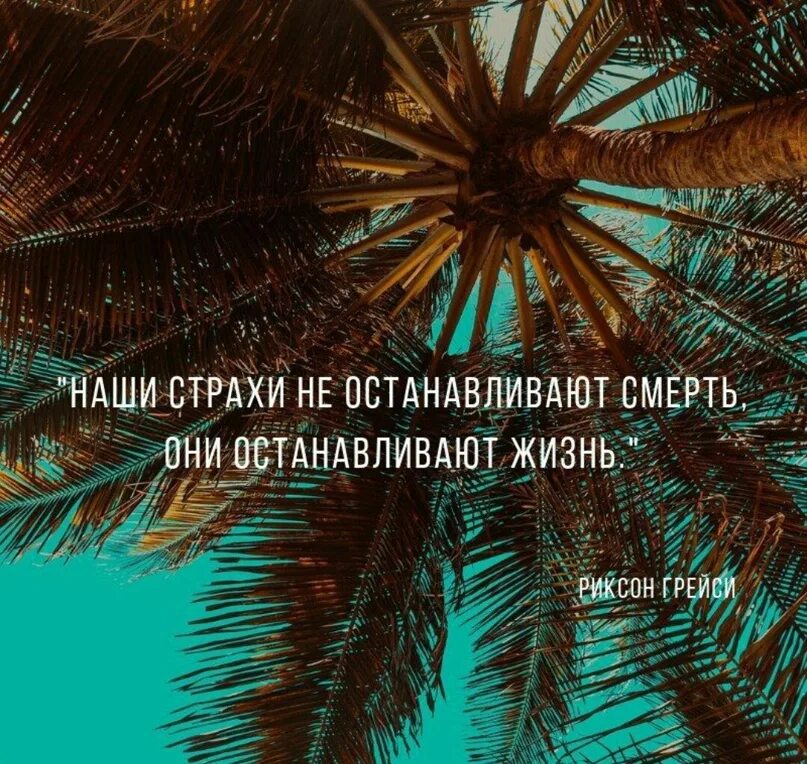 Почему жизнь останавливается