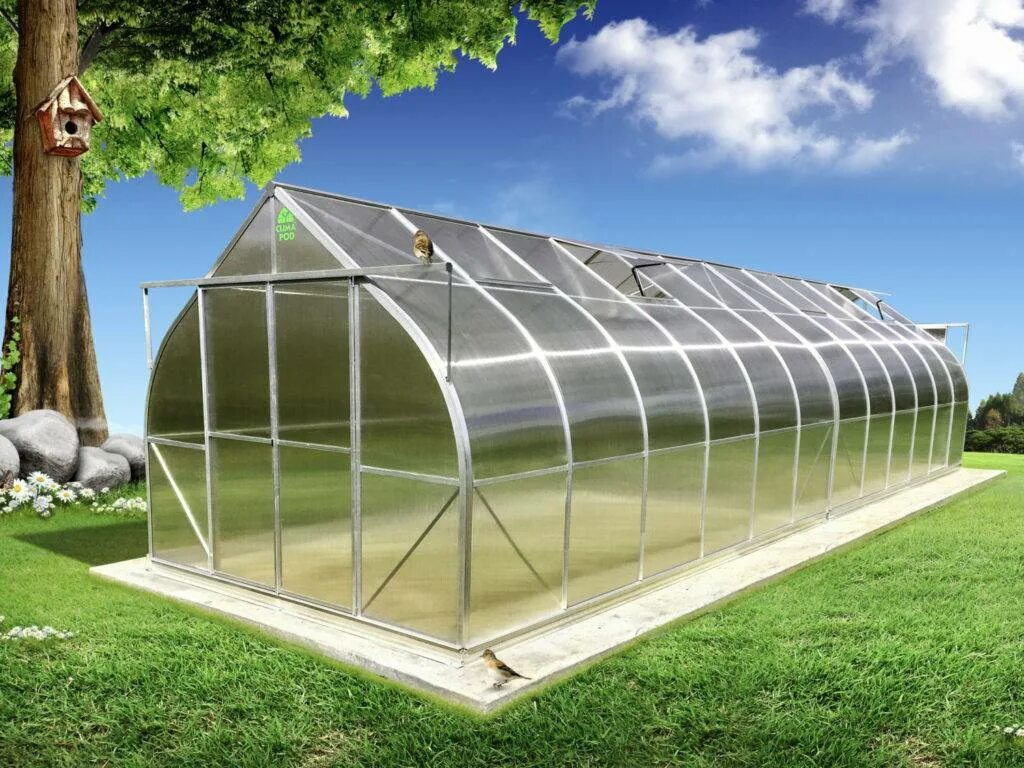 Теплицы купить цены в ярославле. Тплицы Green House Greenhouse теплицы. Теплица Воля Дачная стрелка 6м. Теплица из поликарбоната 3х10. Теплица 3х4 м пленка 135г/м2 big Walkin Greenhouse.