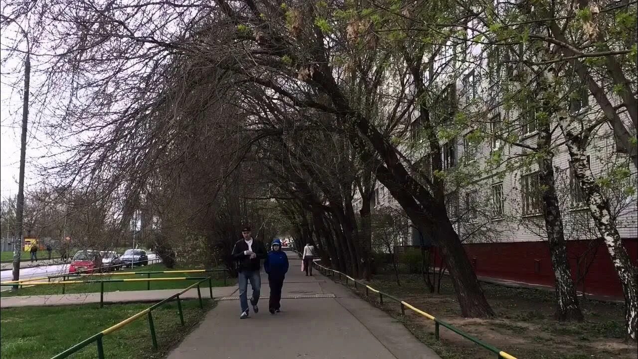 Погода отрадное московская. Парк отрадное москва. Парк отрадное москва. Погода отрадное московская. Погода отрадное московская.