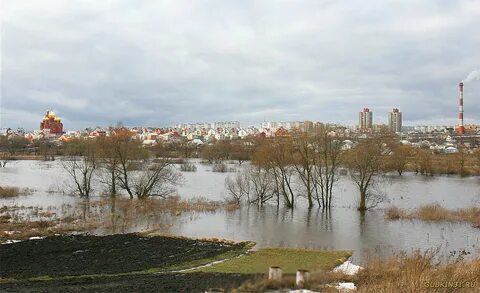 Весенний старый оскол