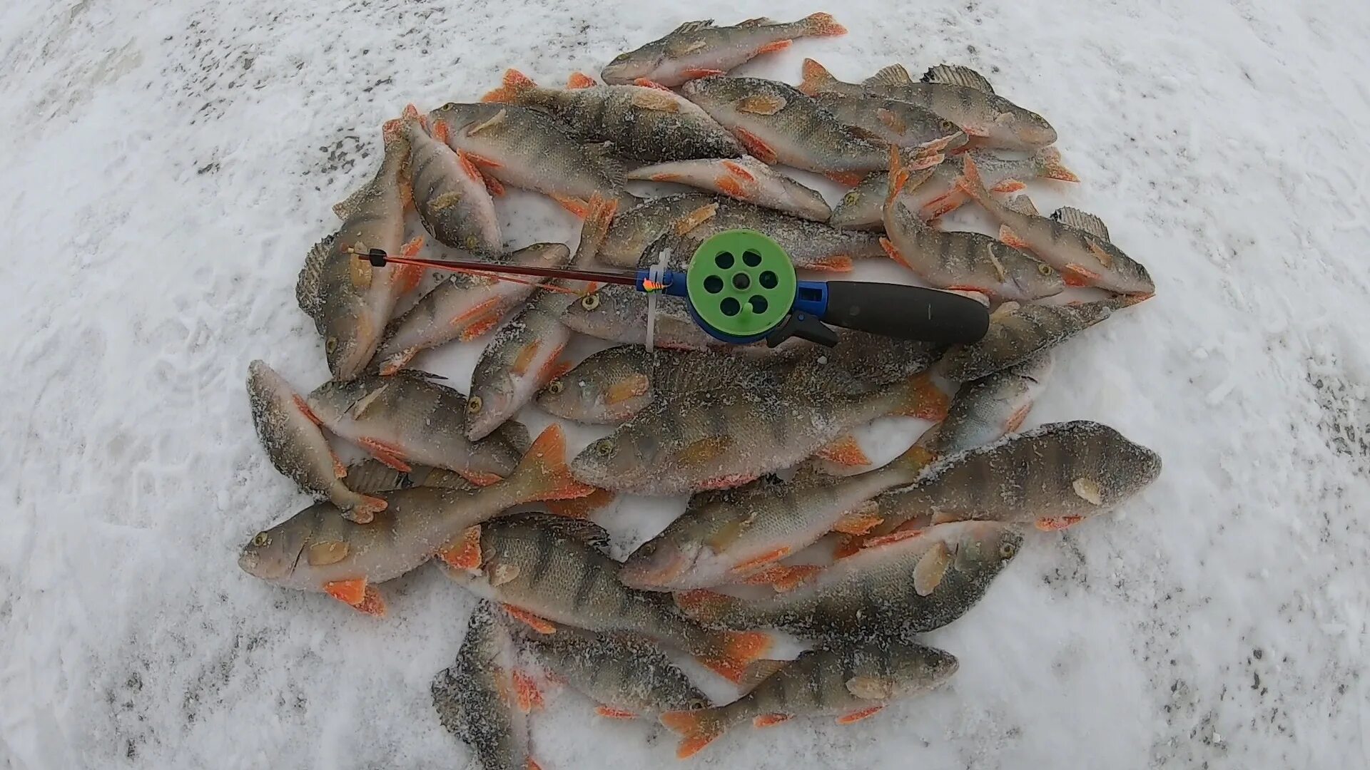 рыбалка зима 2023 видео