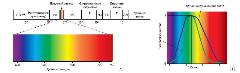 Спектр видимый глазом