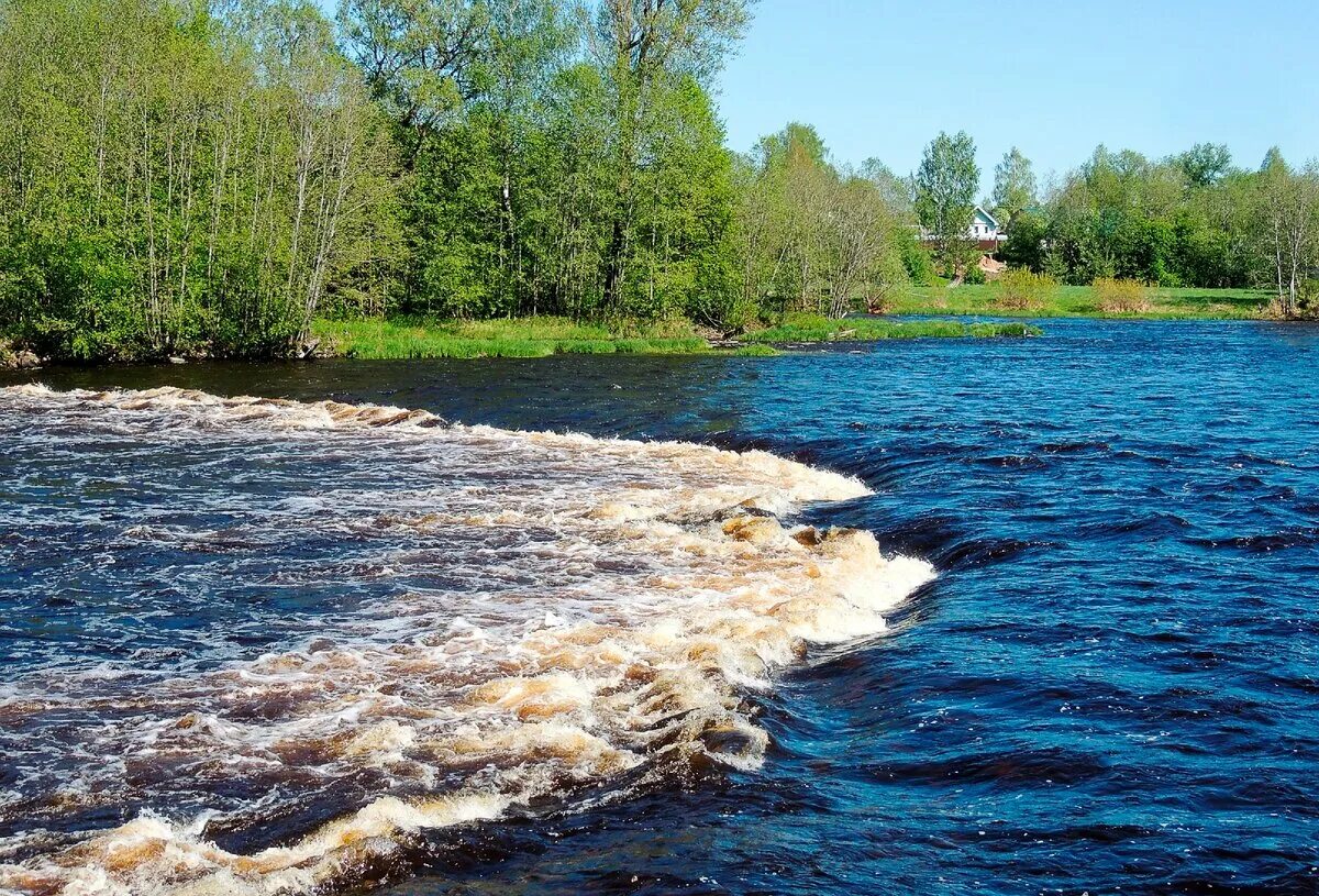 Мста новгородская область. Река Мста Новгородская область. Река Мста пороги. Река Мста Удомля. Река Мста Любытино.