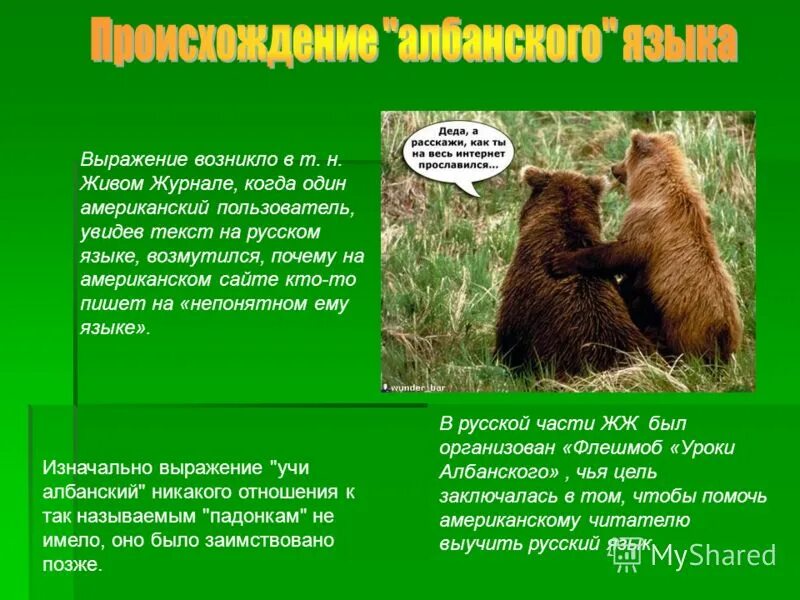 Среда обитания картинки. Язык среда обитания. Среда обитания земноводных таблица. Среда обитания человека. Язык среда обитания народа.