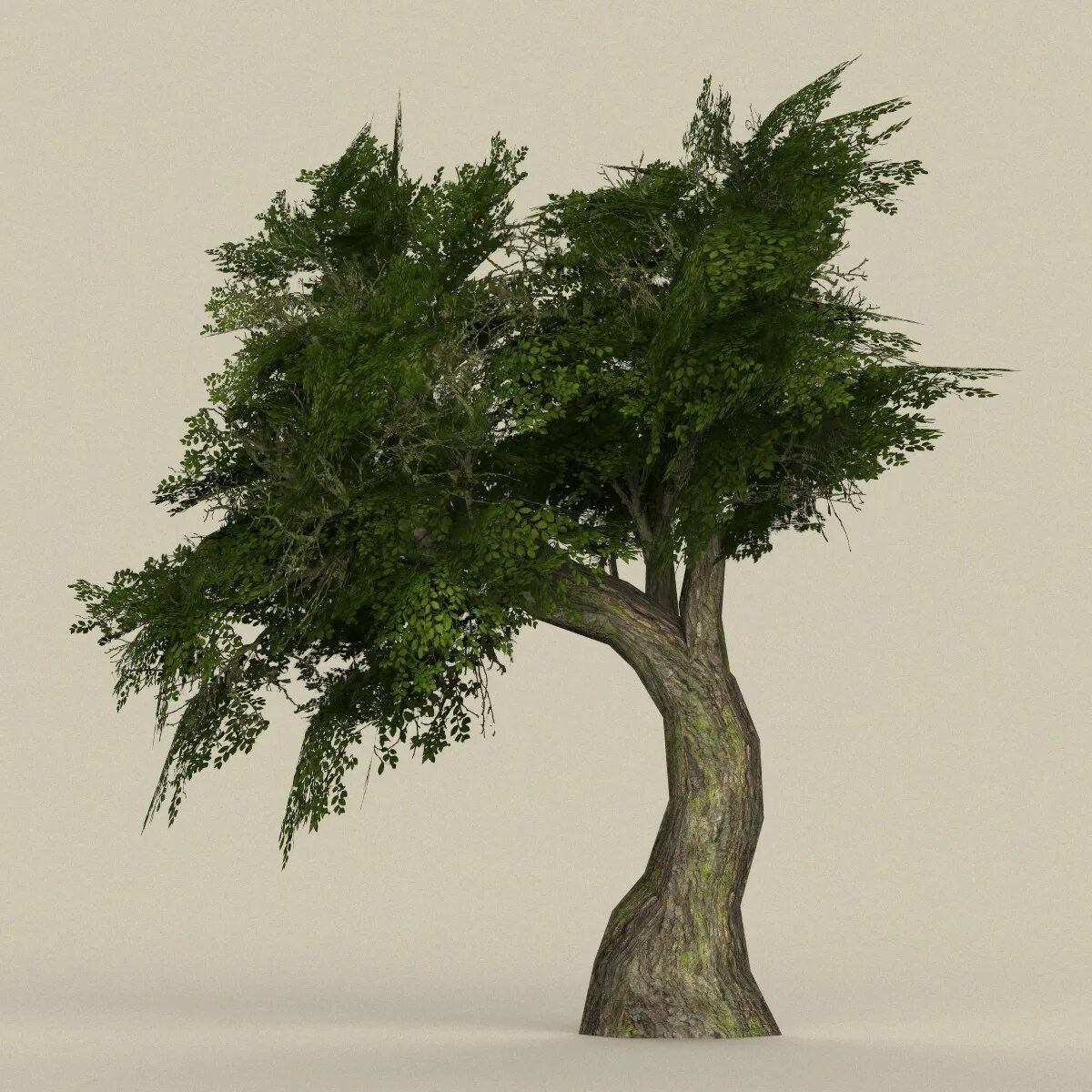 Tree 3ds Max. TEW Tree 3d model. Дерево для 3д Макс. Дерево в 3 d