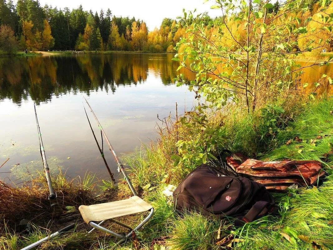 Рыбалка вконтакте озера. Природа рыбалка. Рыбак на природе. Рыбалка пейзаж. Красивые пейзажи на рыбалке.