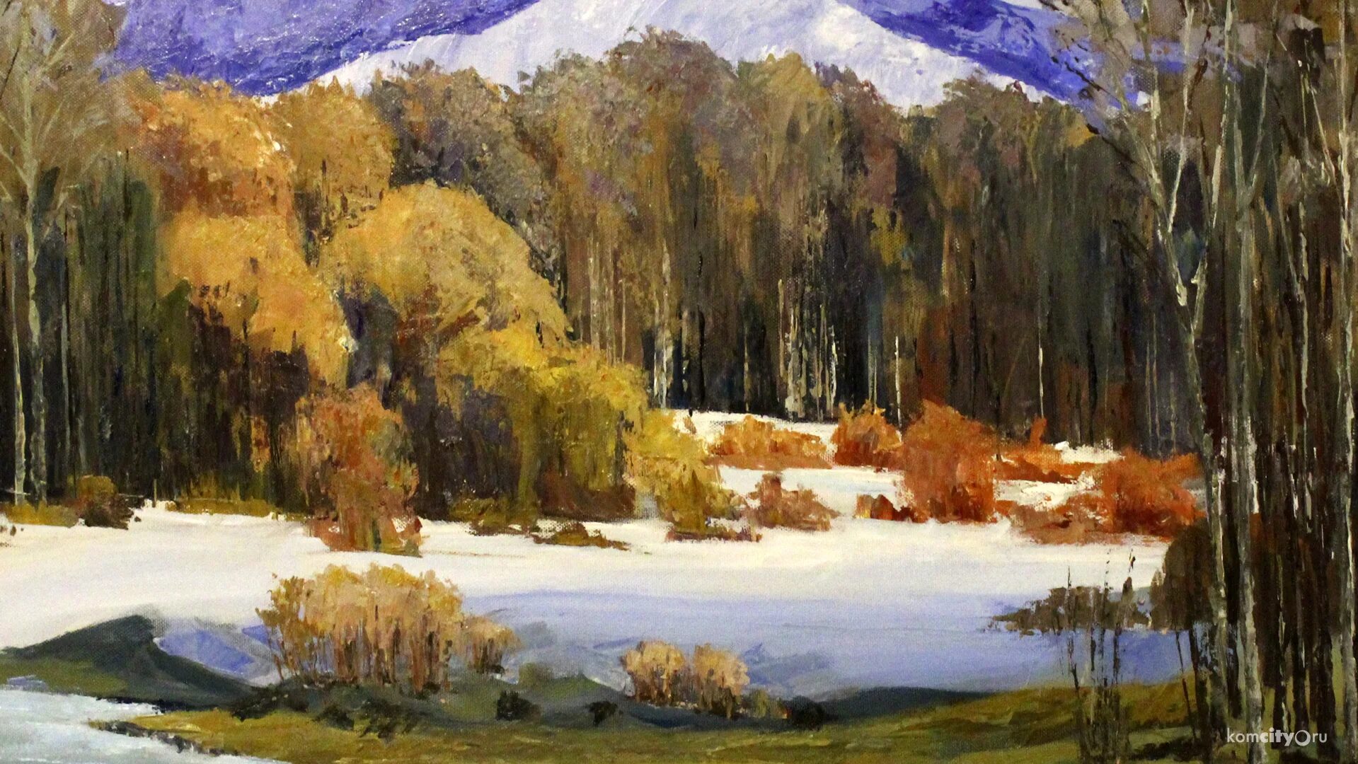 художник выставка владимира