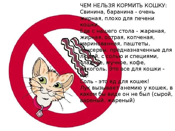 Что нельзя давать кошкам. Что нельзя котам. Что нельзя кошкам. Запретили есть кошек. Опасные продукты для кошек.