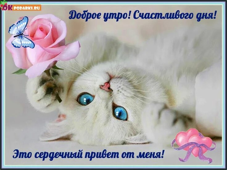 Pin en Доброе утро Saludos