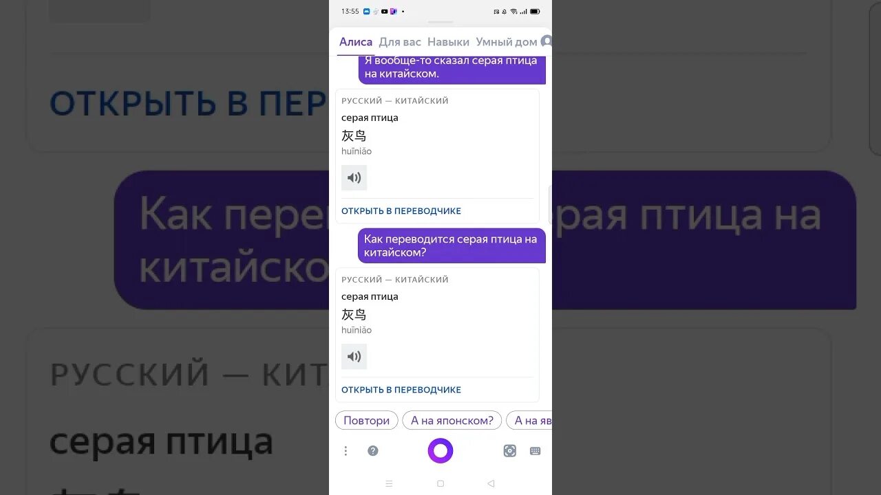 Переведи алиса переведи на китайский серый