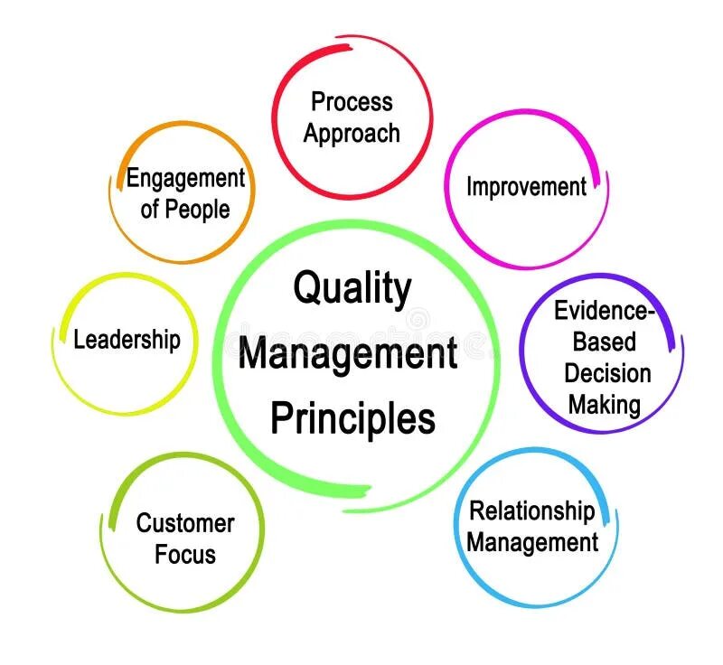 Principles of quality Management. 7 Quality Management principles. Basic principles of quality Management. Картина TQM.