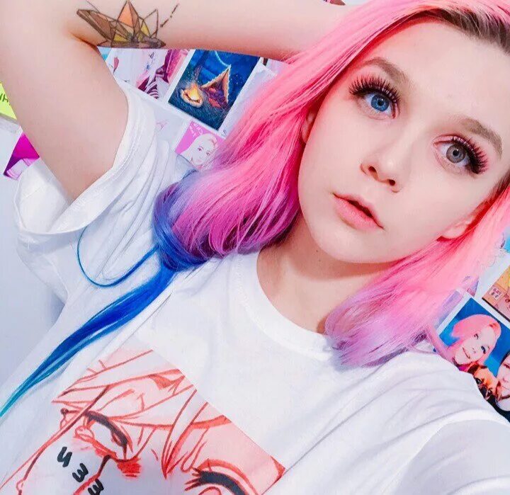 Chio yam сливы. фото чио ям. чио тян. чио ян. слив чиу ян.