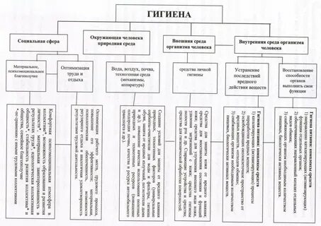 Перечислите элементы личной гигиены