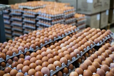 На птицефабрике упаковали 860 яиц в большие