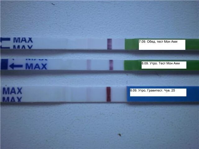 Test 2 i