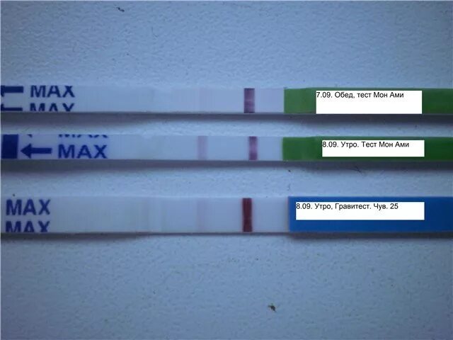 Ложноположительный тест форум. Мон ами тест 8 ДПО. Тест на беременность. Mon Ami тест на беременность. Тест на беременность Мон ами отзывы.