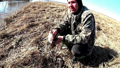 Путники видео