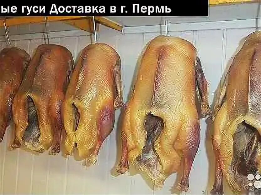 Вяленый гусь в вакуумной упаковке. Упаковка для копченого гуся. Вяленый гусь уфа. Нарезка гуся. Вяленый гусь уфа.