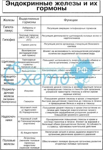 Таблица по биологии 8 класс гормоны желез. Эндокринные железы и их гормоны и функции. Таблица по железам внутренней секреции 8 класс биология. Железы эндокринной системы таблица. Эндокринная система железы и функции таблица.