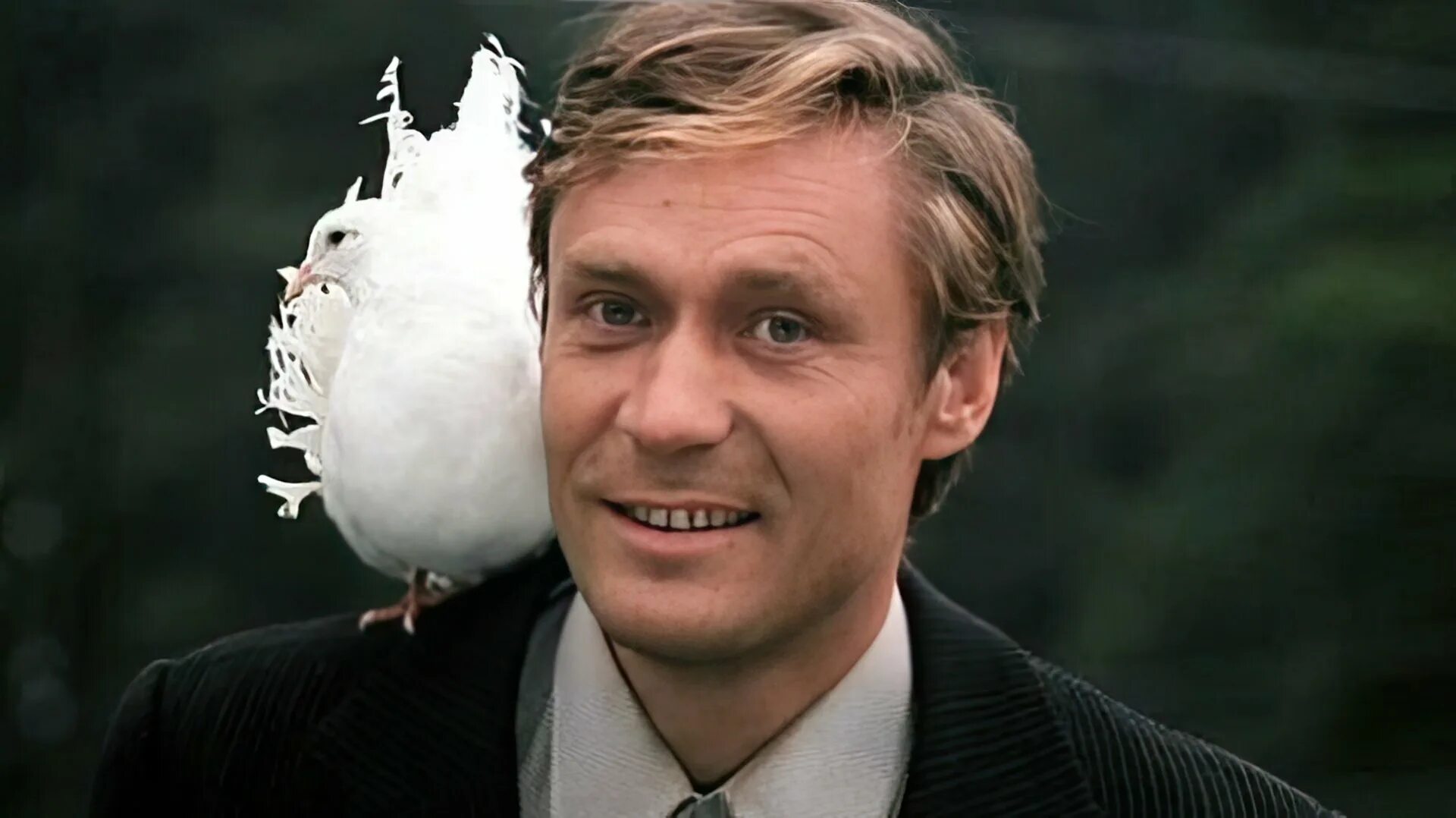 Голуби режиссер. Голуби режиссер. Любовь и голуби (1984) постер. Голуби режиссер. Щербаков любовь и голуби.