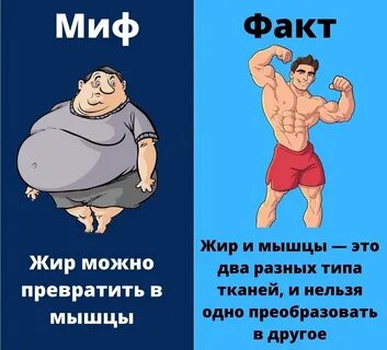 Чекни это