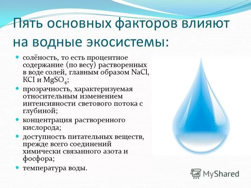 какие факторы влияют на солёность. назовите факторы влияющие на соленость. от чего зависит соленость. причины влияющие на соленость океанической воды. назовите факторы влияющие на соленость.