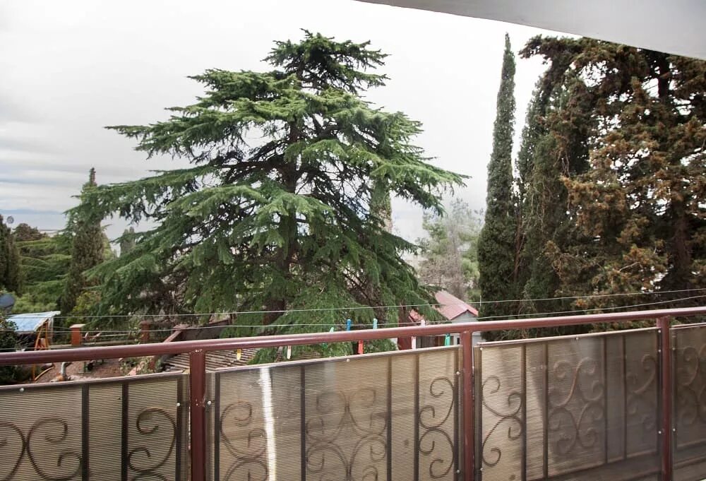 алушта профессорский уголок калипсо. гостевой дом вика профессорский уголок. пляж профессорский уголок алушта. отель море алушта 2022. лазурный берег профессорский уголок алушта.