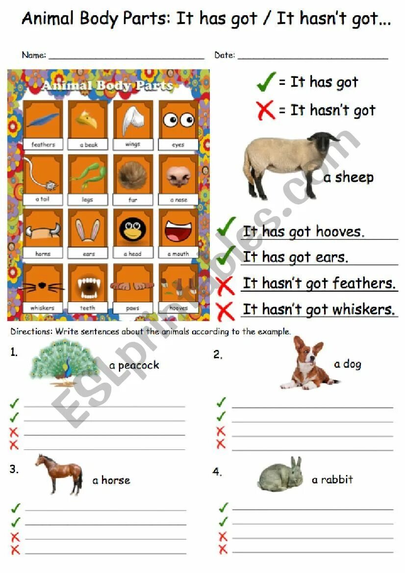 Animals have got Worksheets. Задание have got has got animals. Parts of the body animals Worksheets for Kids. Have has animals Worksheets.