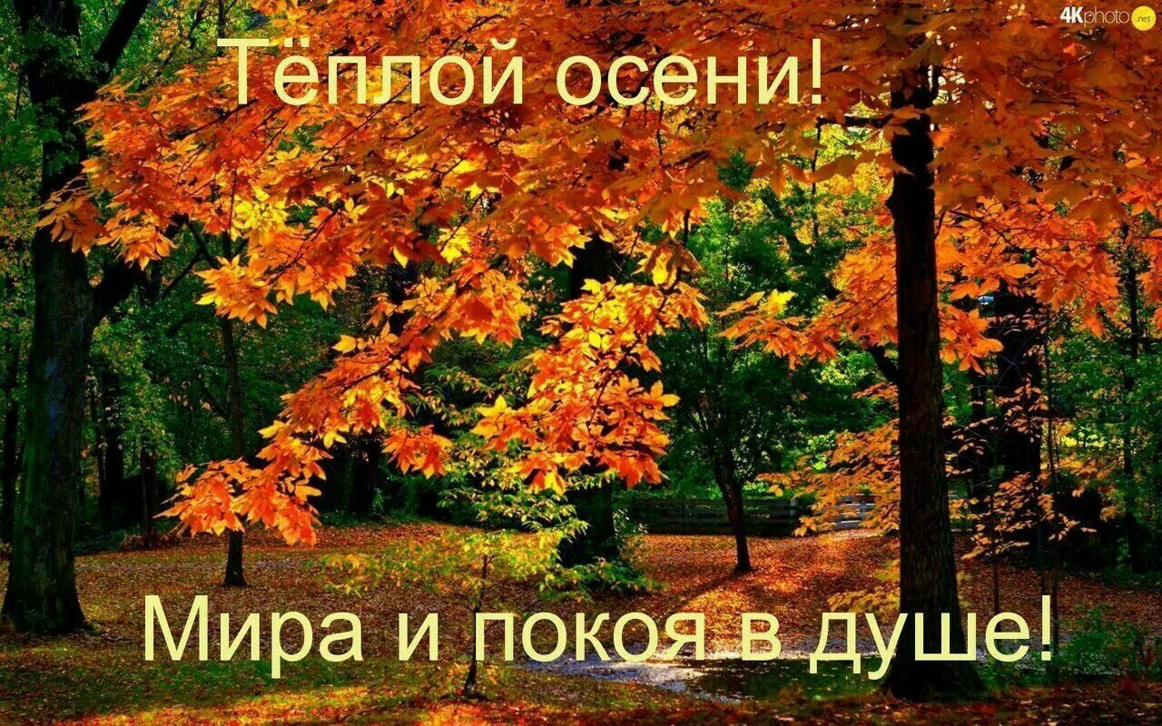 Осенний парк. Природа осень. Осень сентябрь природа. Осень сентябрь. Картинка про начало осени.